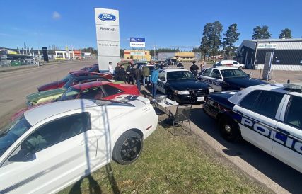 4. Mustanger samlade