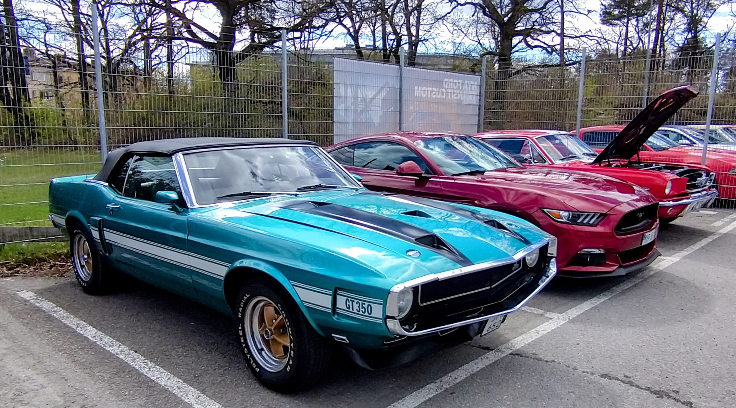 Vi firar Mustangens födelsedag!