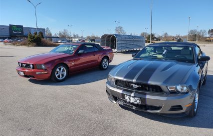 Mustangens fodelsedag 03