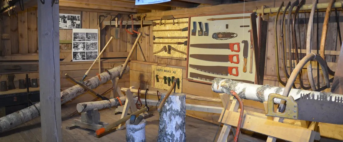 Mustangtur till Skogsmuseet