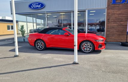 Mustangens fodelsedag 1