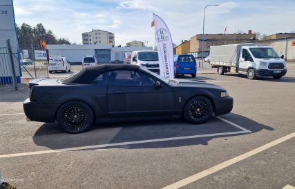 Mustangens fodelsedag 6