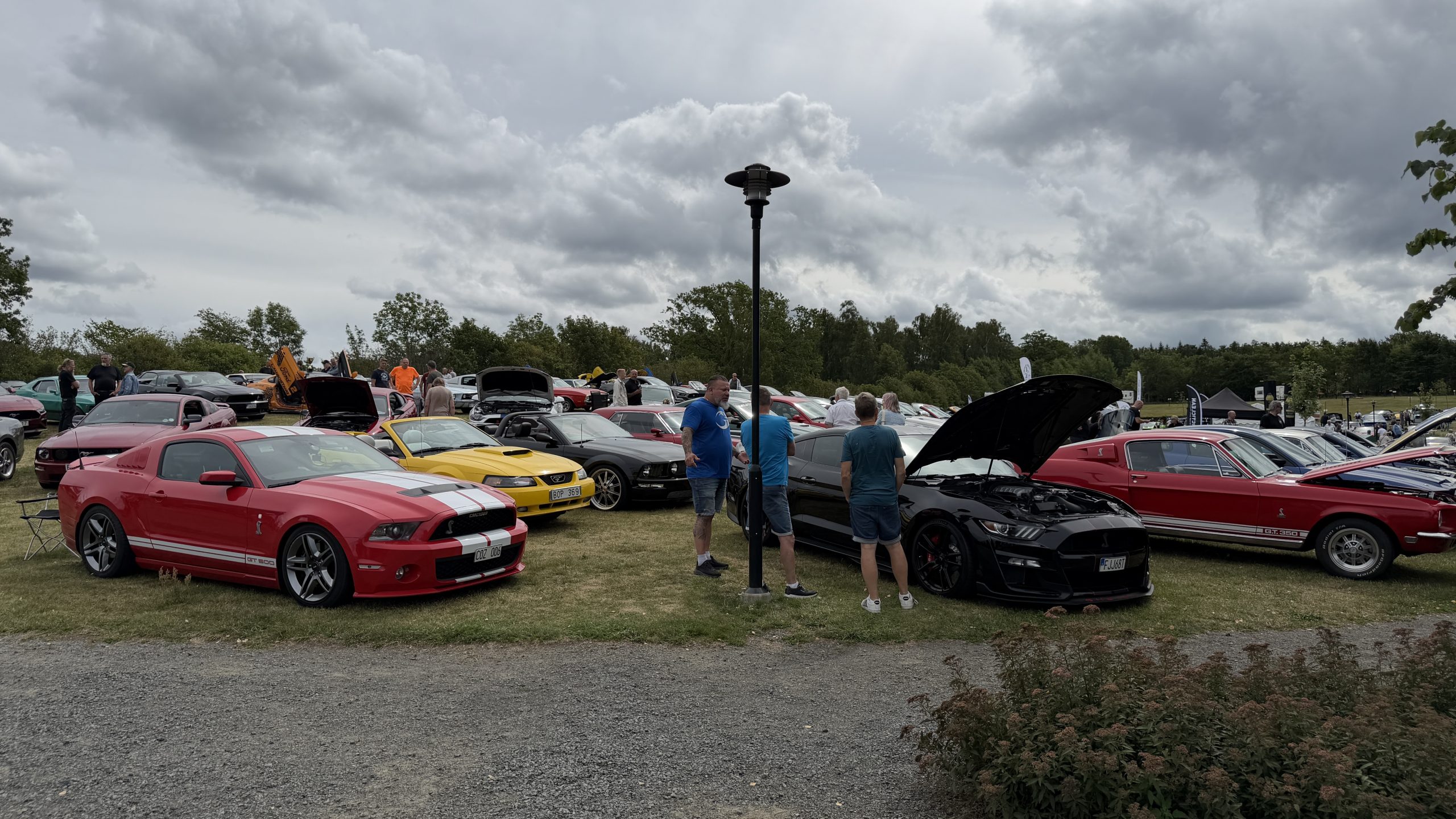 Mustangträffarna levererar