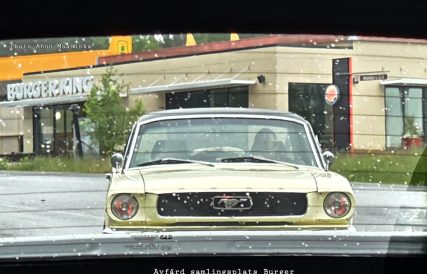 AHMK Nationaldag 2025 1