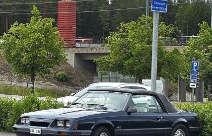 AHMK Nationaldag 2025 29