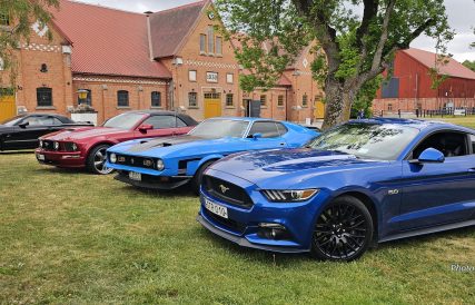 AHMK Nationaldag 2025 63