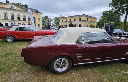 AHMK Nationaldag 2025 70