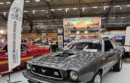 Ahnn Maanika Elmia26 9