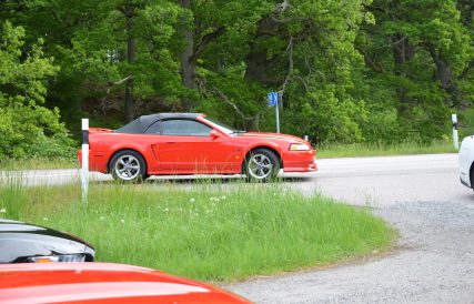 JPEG bild 46